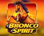 Bronco Spirit